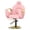 pink, variant on Danolapsi Reclining Salon Chair for Hair Stylist, 360° Swivel and Height Adjustable Hydraulic Barber Chair with Foot Rest, Multi-Function Shampoo Beauty Hairdresser Armchair for Home Barbershop