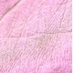 thumbnail image 5 of Iluminador líquido Flower Knows Midsummer Fairytales 04, 5 of 9