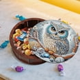 thumbnail image 5 of DIY Diamond Painting Kit Round Storage Box, Bold Owl Pattern Tray Decorative Craft, Desktop Item Storage, Multifunctional Creative Holiday Gift, 5 of 7