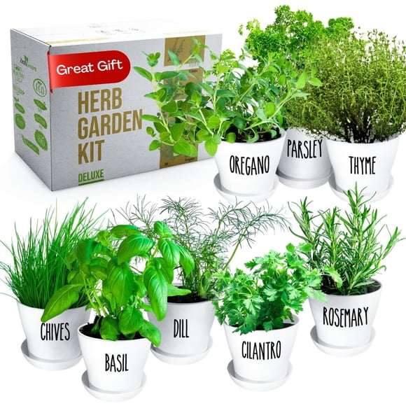 Kit de huerto de hierbas ZESTIGREENS con 8 hierbas culinarias y macetas