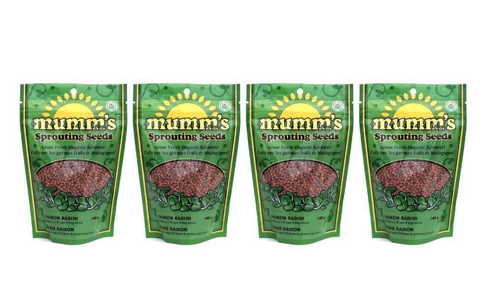 Daikon Radish 4 Pack - Mumm’s Sprouting Seeds