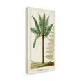 thumbnail image 2 of Trademark Fine Art 'Turpin Exotic Palms III' Canvas Art by Turpin, 2 of 4