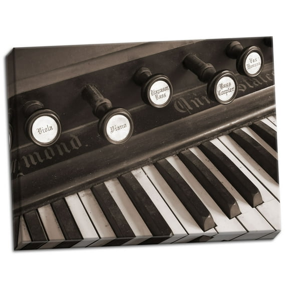 Gango Home Decor Organ I by Jim Christensen (Ready to Hang); One 24x18in Hand-Stretched Canvas