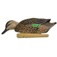 thumbnail image 6 of Avian X Topflight Green-Winged Teal Duck Realistic Floating Decoys, 18 Pack, 6 of 6