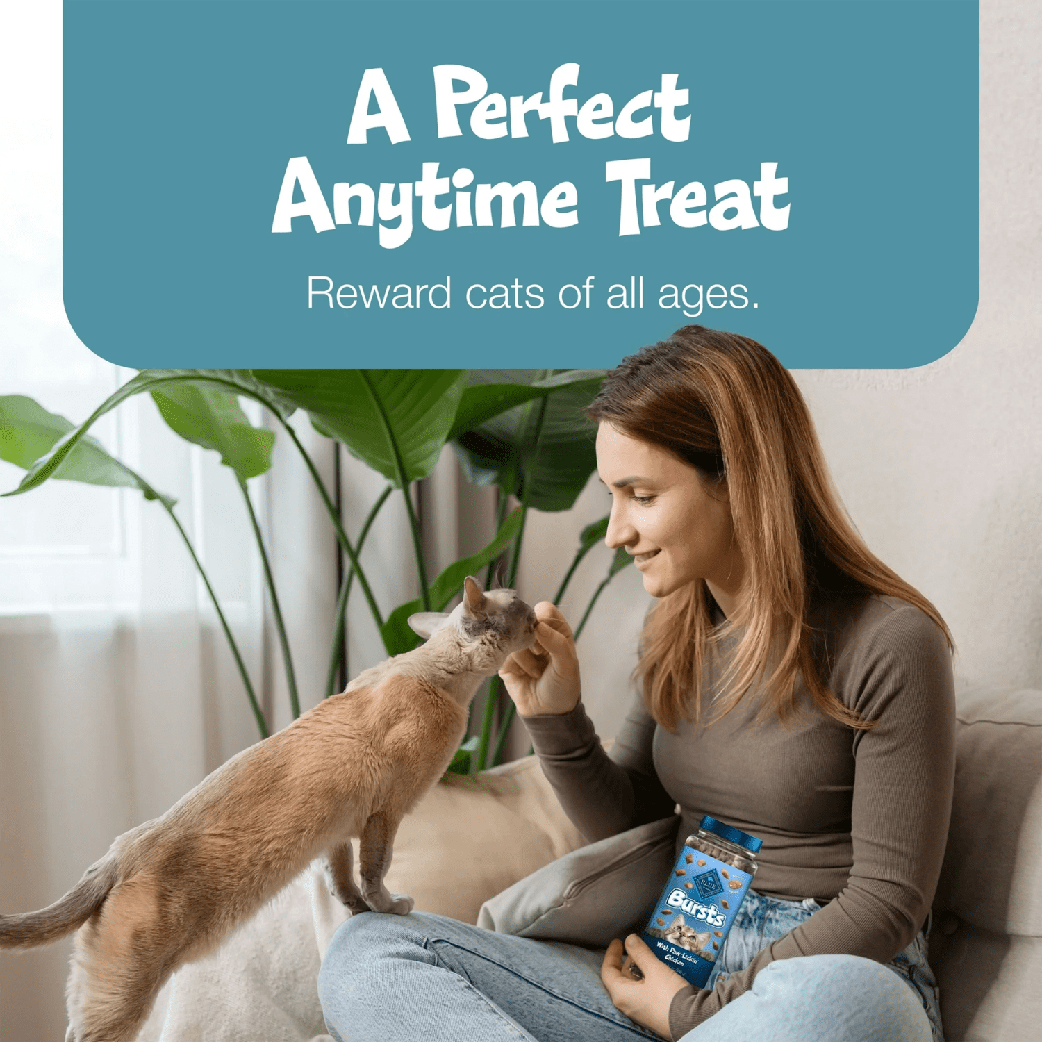 Blue Buffalo Bursts Crunchy & Creamy Cat Dry Treats, Great for Training, Seafood, 2-oz, 56g