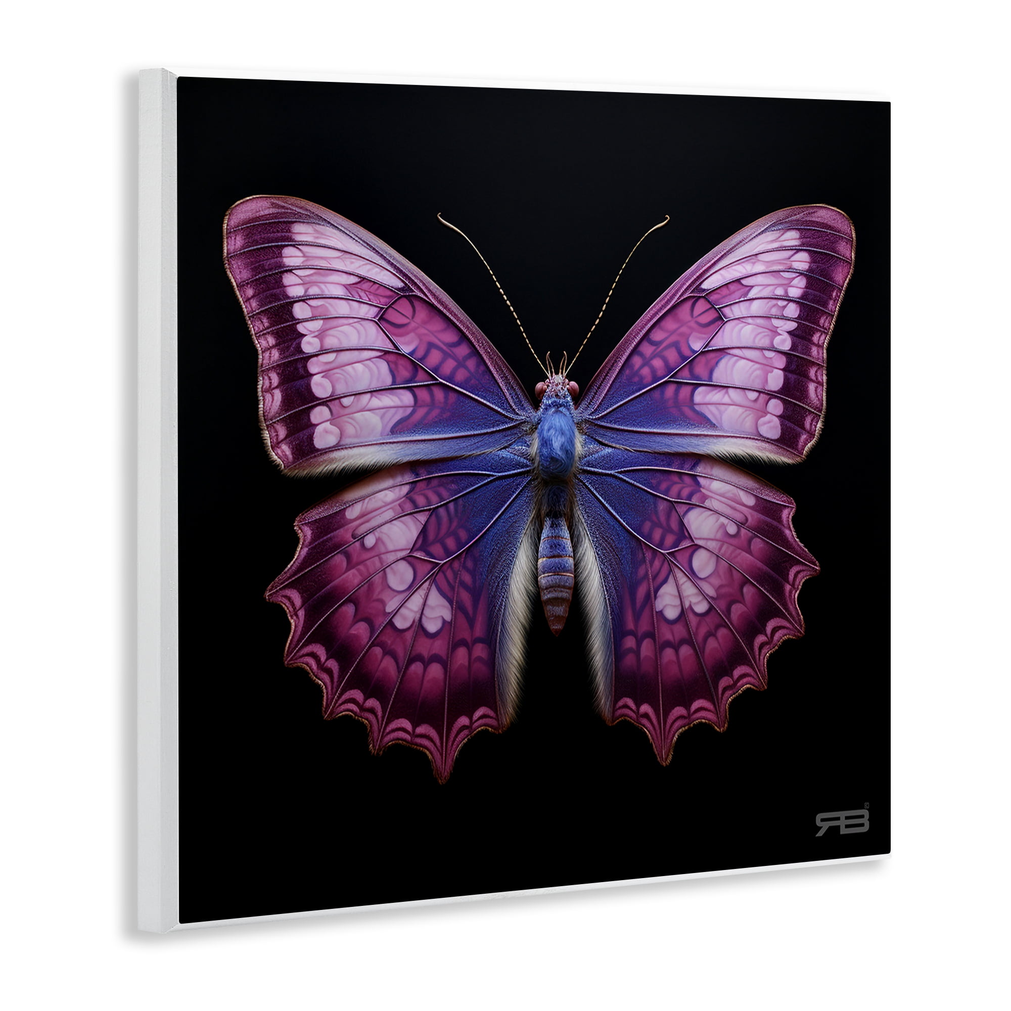 Stupell Industries Vivid Purple Butterfly Animals & Insects Painting Unframed Art Print Wall Art, 12 x 12