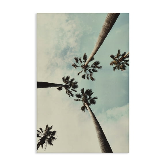 Stupell Industries Centric Tropical Palms Botanical & Floral Photography Gallery Wrapped Canvas Art Print Wall Art, 16 x 24