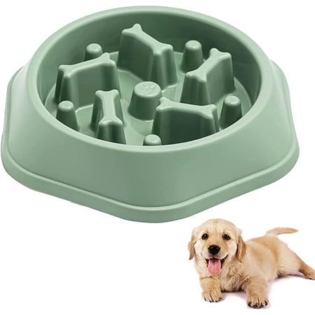 Illustration of Digestive Slow Eating Bowls For Dogs With Sensitive