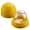 Yellow, variant on Dices Rolling Cup with 5 Dices for Authentics Gaming Dices Game Ensures Fair Playing in Leisure Betting Game