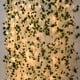 thumbnail image 4 of Guirnalda de luces artificiales de hojas verdes y flores, guirnalda de hiedra, vid, luz de hadas, decoración de fiesta de boda, Navidad, hogar, habitación, planta de pared, 2M-10M, 4 of 5