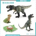 thumbnail image 1 of 仿真小动物模型玩具成长生命周期青蛙海龟鸡蒙氏幼儿园教具批发as the picture Deng Xun unisex, 1 of 2