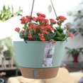 thumbnail image 3 of 10 Inch Hanging Planter, Plant Hanger Indoor Outdoor, Self Watering Plant Pot Hanging Baskets Holder Plants with Drainage Holes & Removable Tray for Garden Home Green, 3 of 8