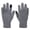 Grey, variant on Winter Thermal Mittens Double Layer Thick Lined Outdoor Sports Skiing Touchscreen Compatible Inner Liner Black XL