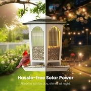 MrCrafts Solar Bird Feeder for Outdoors 2 Pack - Attract Cardinals & Wild birds - Garden Decor Gift for Women