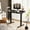Black Top, variant on FlexiSpot 55"x24" Electric Standing Desk with One-Piece Desktop, 2 Removable Drawers, Headphone Hook, 4 Height Memory Presets, 250lbs Capacity Ergonomic Sit Stand Desk with Monitor Stand