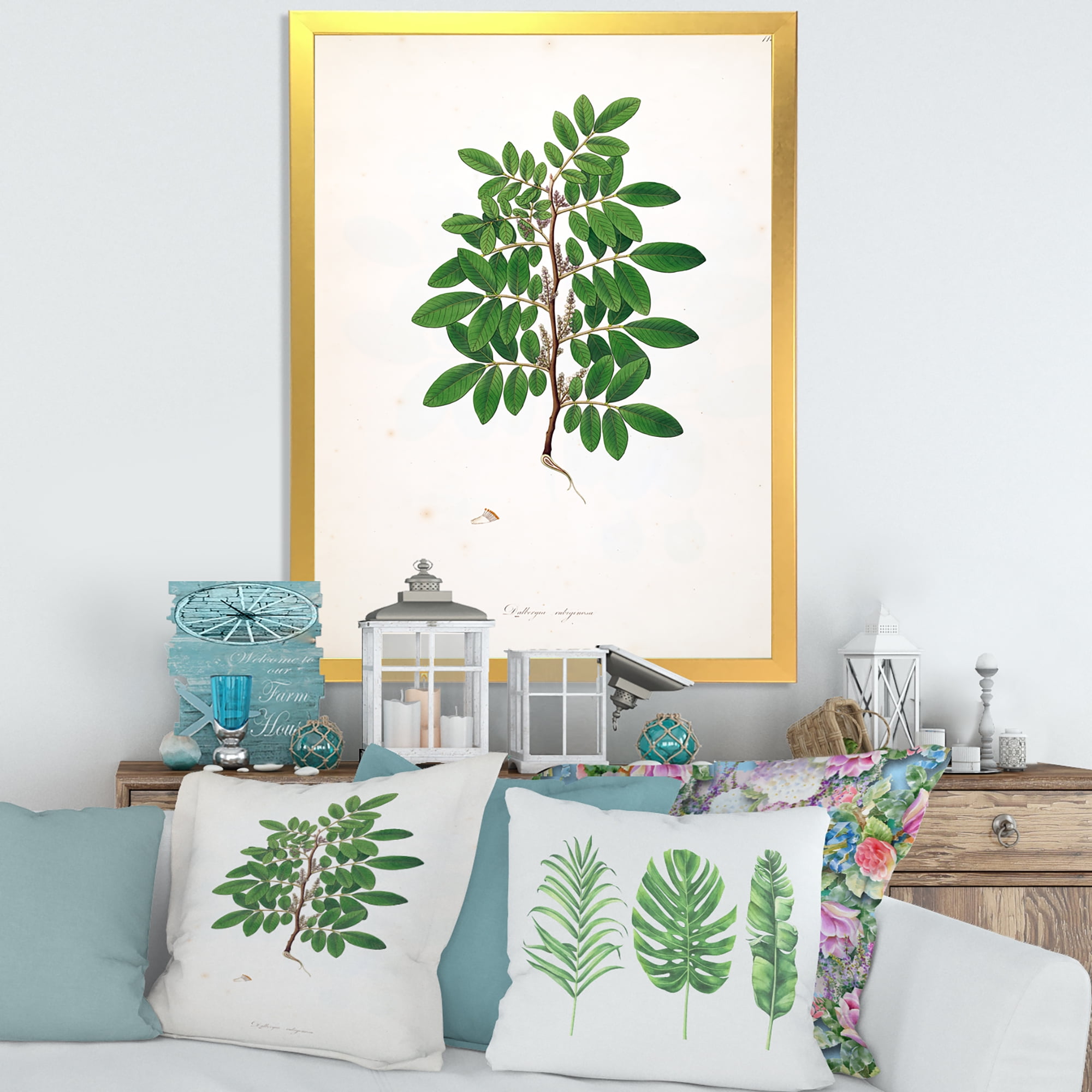 Designart 'Ancient Plant Life XX' Farmhouse Framed Art Print