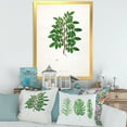 thumbnail image 3 of Designart 'Ancient Plant Life XX' Farmhouse Framed Art Print, 3 of 4