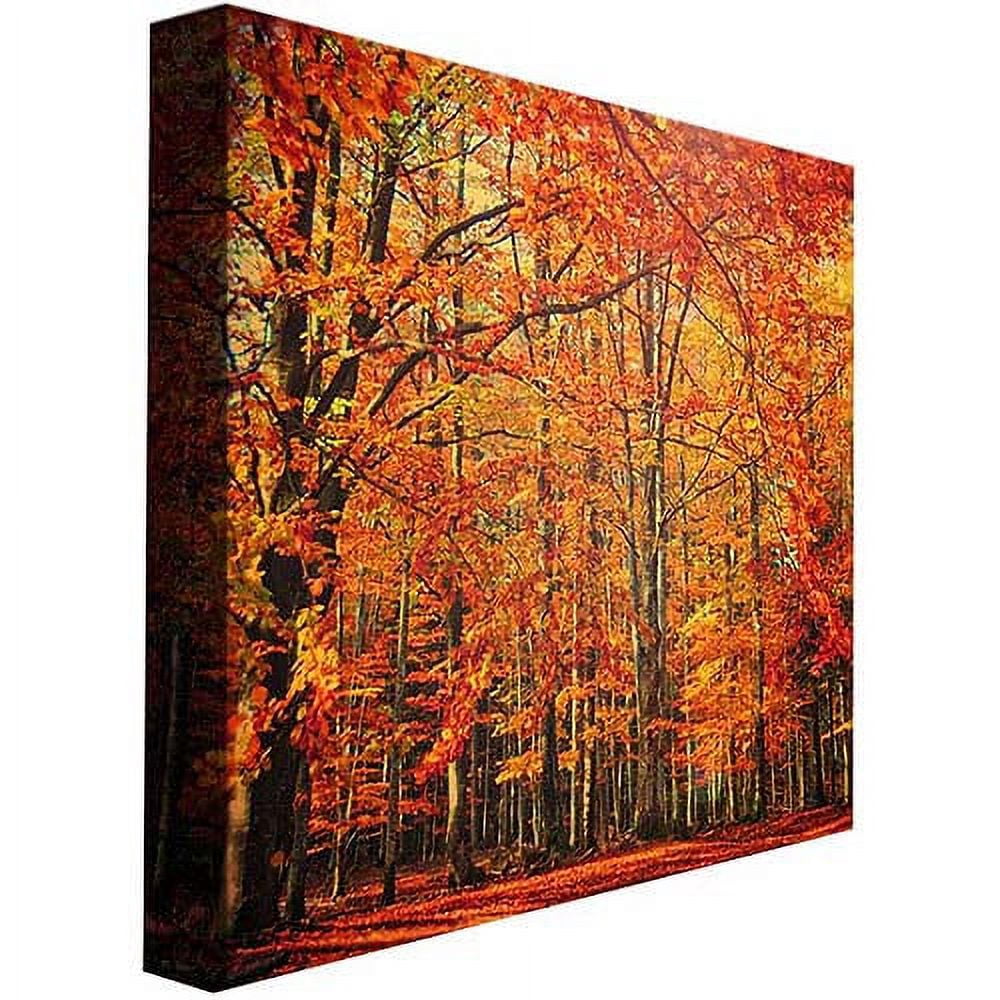 Trademark Art "Red November" Canvas Wall Art by Philippe Sainte-Laudy
