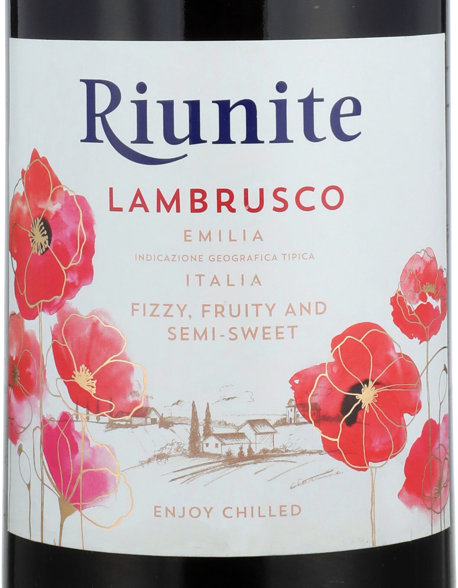 Riunite Lambrusco Red Wine Italy, 1.5 L Bottle, 13% ABV