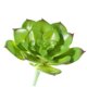 thumbnail image 4 of unbranded Planta Falsa Verde De PVC Para De Escritorio Estantería O, 4 of 7