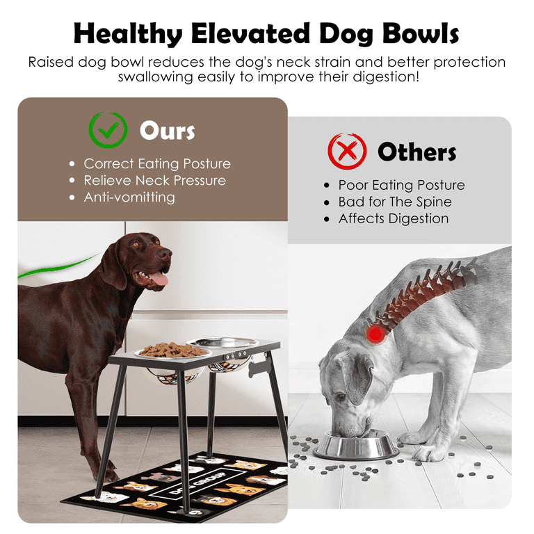 SHAINFUN Metal Elevated Dog Bowl Stand, 17" Tall with Mat photo 3