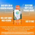 Tropical Oasis Mega Plus Liquid Multivitamin and Mineral Supplement