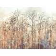 thumbnail image 3 of Frank, Assaf 14x12 Black Modern Framed Museum Art Print Titled - Grass Reeds, 3 of 5
