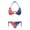 American Flag Pattern, variant on Plus Size Ladies Two Piece Bikini Set Fire Ice Smoke Print Quick Drying Halter Bathing Suit Adjustable Side Tie Swimwear for Women