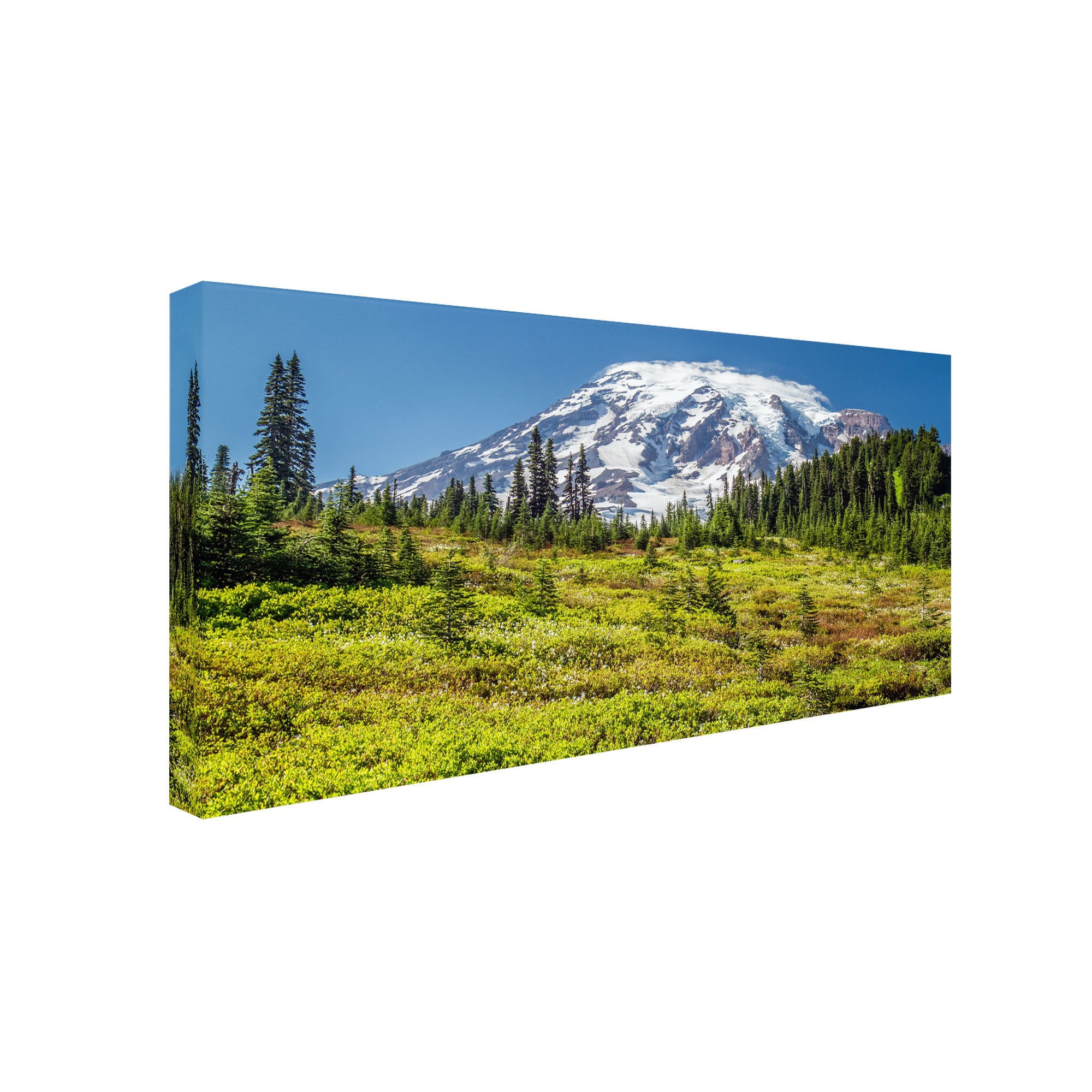 Trademark Fine Art "Mount Rainier Meadow" Canvas Art by Pierre Leclerc