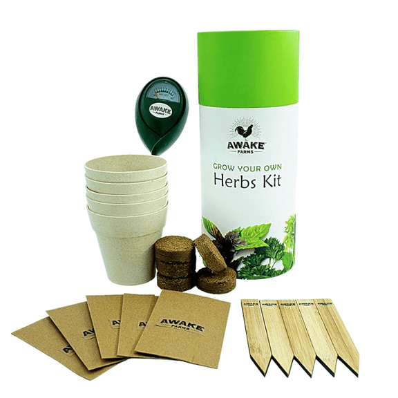 Grow Your Own Herbs Kit 5 Herb Plant Seeds, Indoor