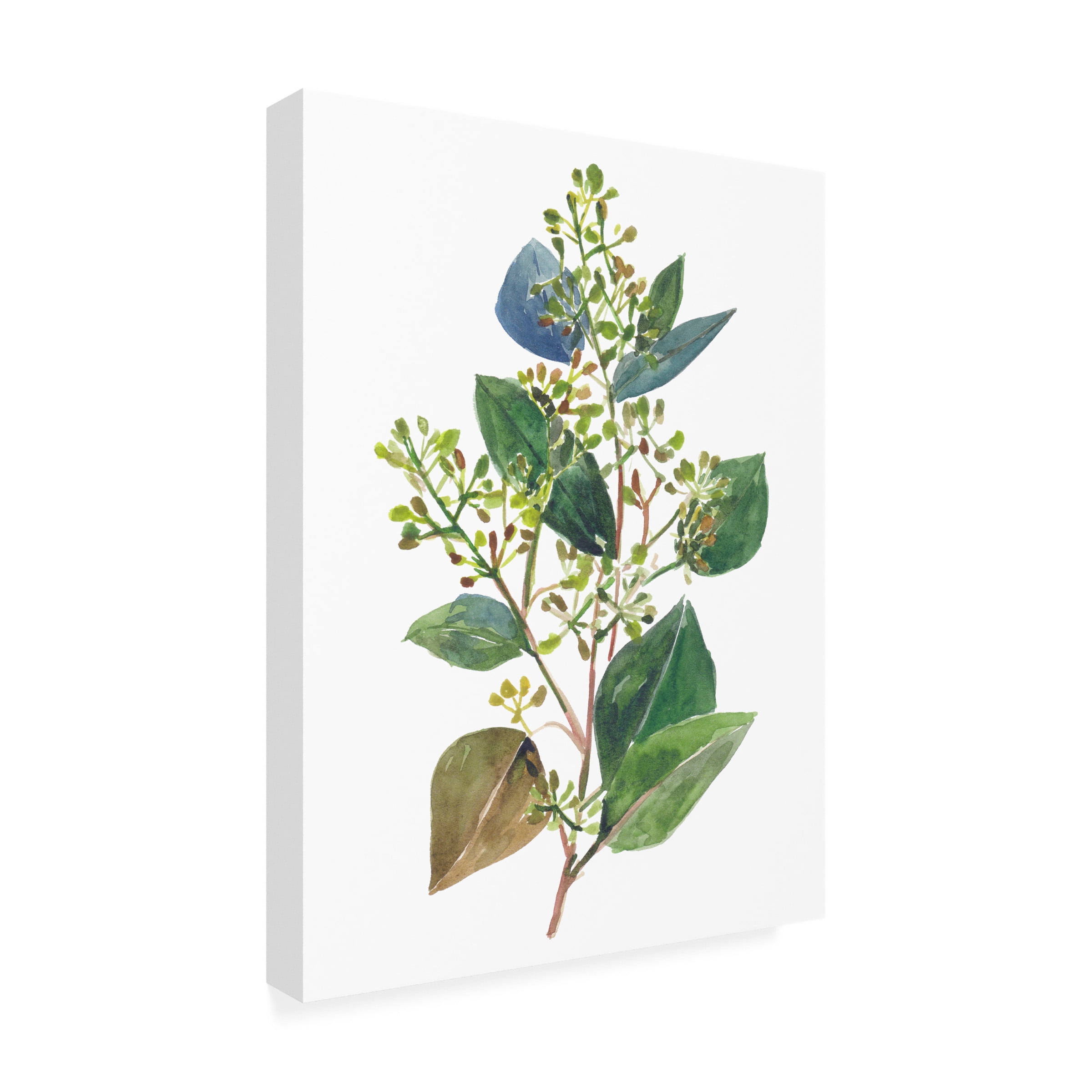 Melissa Wang 'Seeded Eucalyptus II' Canvas Art