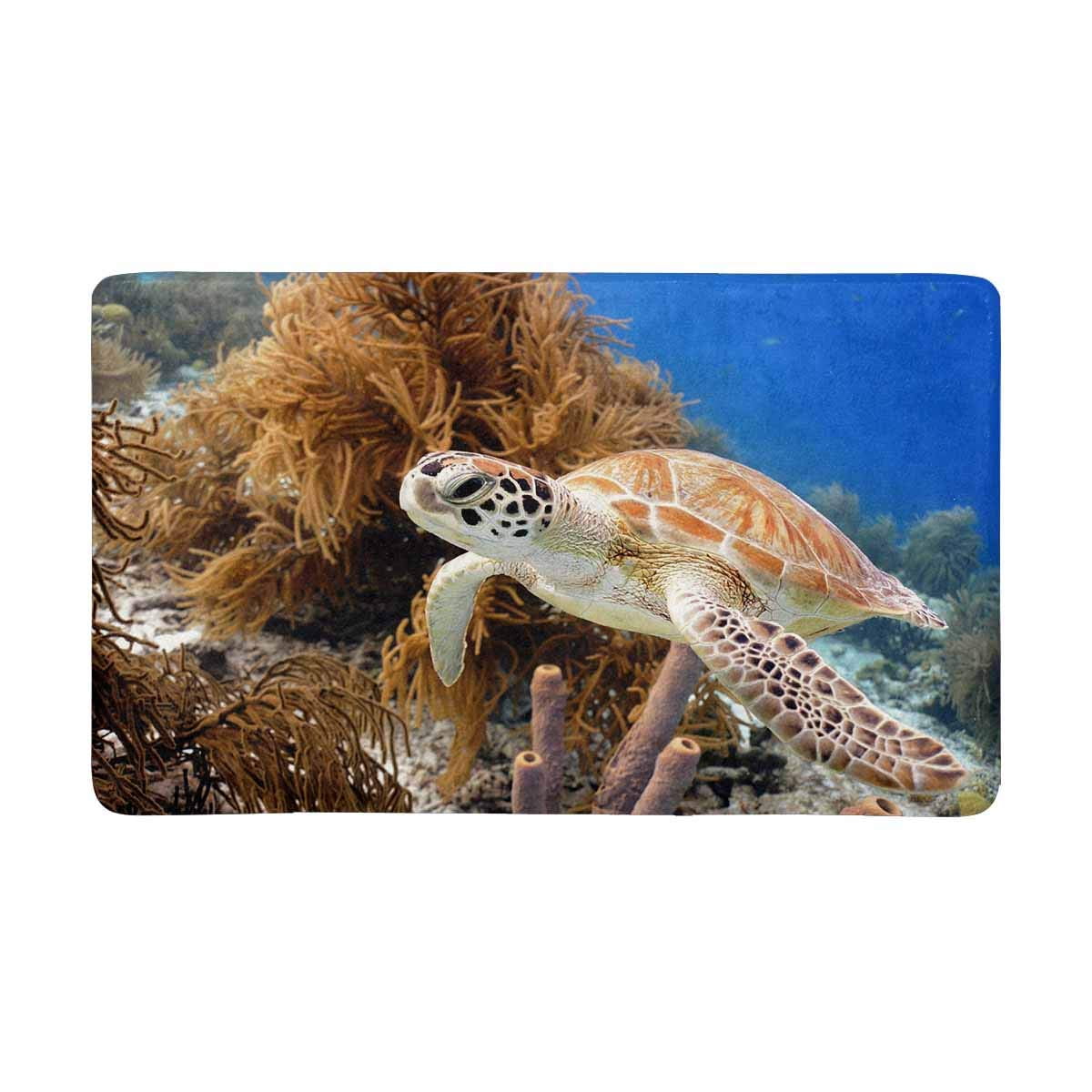 Pop Green Sea Turtle Swimming Along Tropical Coral Reef Indoor
