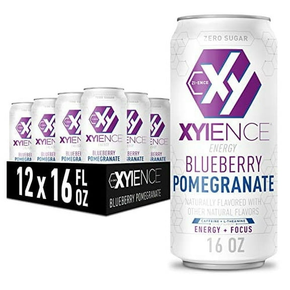XYIENCE Energy Drink | Blueberry Pomegranate | Sugar Free | Zero Calories | Natural Flavors | Vitamin Fortified | 16 Ounce (Pack of 12)