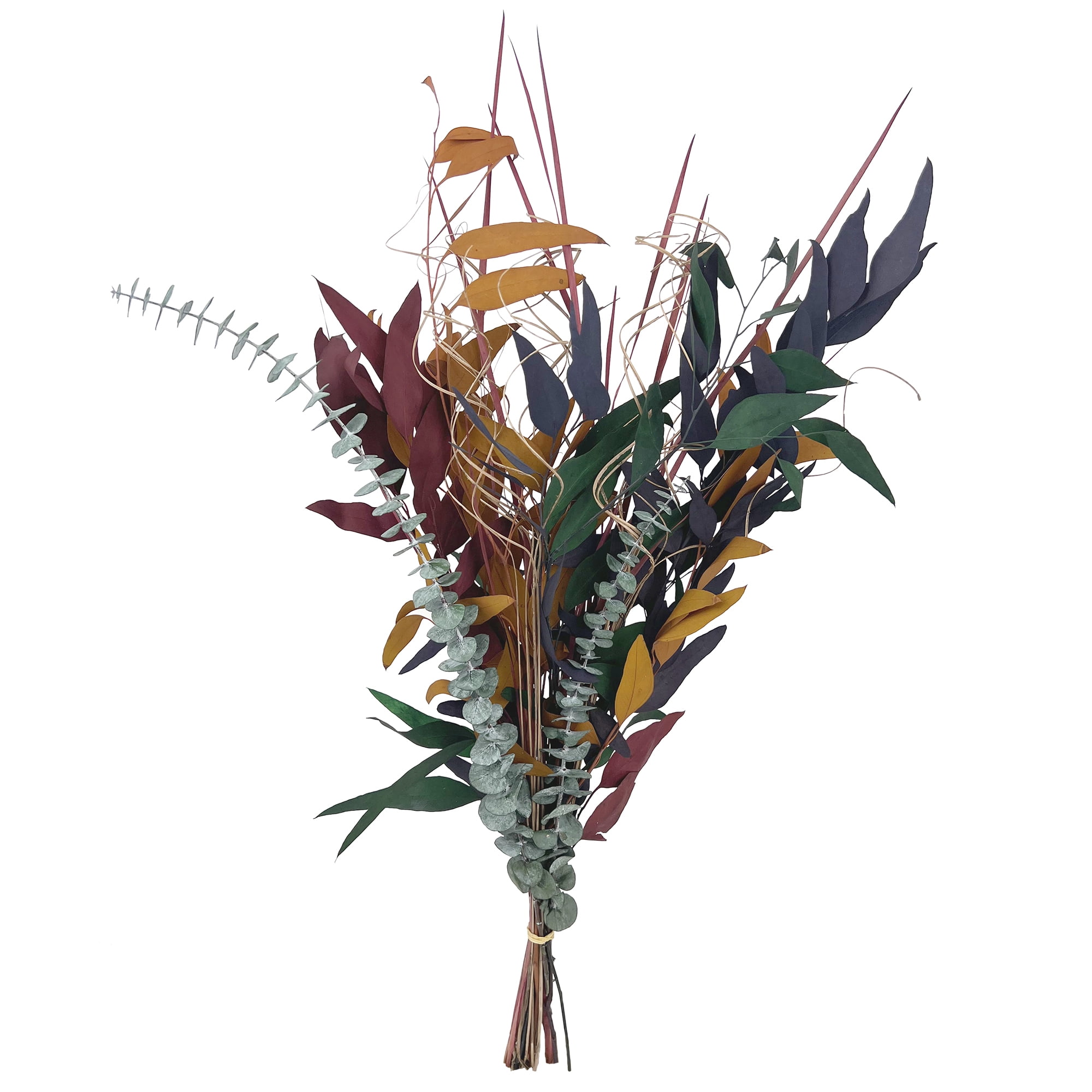 (2 pack) Botanical Avenue Dried Eucalyptus Multi Bunch for Home Decor