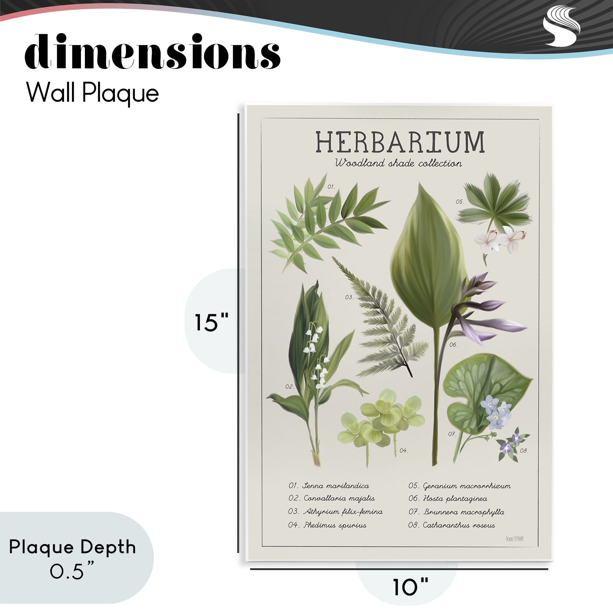 Stupell Industries Herbarium Woodland Shade Collection Wall Plaque Art, design by House Fenway