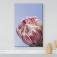 thumbnail image 2 of wall26 Canvas Print Wall Art Blooming Pink Rose Flower Cactus Succulent Nature Wilderness Photography Realism Floral Botanical Multicolor for Living Room, Bedroom, Office - 24"x36", 2 of 5