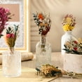 thumbnail image 4 of Artrylin Natural Dried Flower Bouquet Style B Wedding and Christmas Decor 6-Pieces, 4 of 8