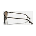 thumbnail image 5 of Sunglasses Ray-Ban RB 2203 902/51 Havana Clear Gradient Brown, 5 of 5