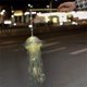 thumbnail image 4 of Lámpara LED de medusas Homerr, lámpara de medusas, lámpara LED de medusas, lámpara colgante suave a pilas, decoración, regalo de vacaciones para fiesta, 4 of 8