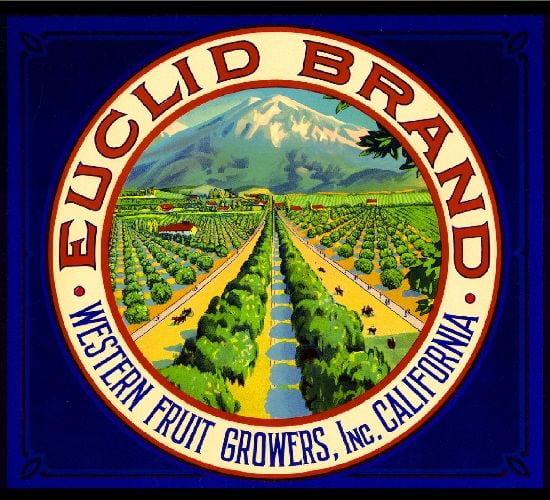 Baldy Orange Citrus Fruit Crate Label Art Print Upland California Euclid Mt 