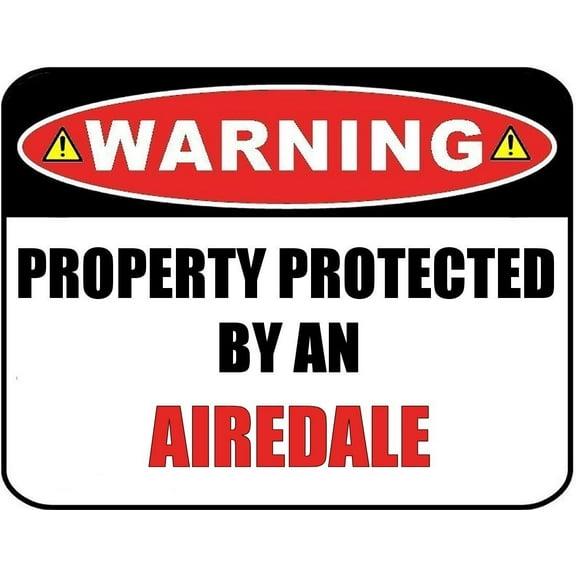 Warning Property Protected by a Papillon 9 inch x 11.5 inch Laminated Dog Sign