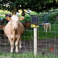thumbnail image 3 of Electric Fence Wire Connect, Copper Weather Resistance Electric Fence Clips  For Farm, 3 of 8