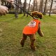 thumbnail image 3 of Cuadros Decorativos DIY Applique Diamond Pet Shirt Impreso Transpirable Chaleco Naranja (Bowknot Dog) Ndcxsfigh Nuevos Originales, 3 of 8