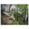 thumbnail image 2 of Forêt de Mousse Profonde avec Rochers - Impression sur Toile Paysage, 2 of 3