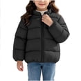 thumbnail image 2 of Kids' Stand Collar Zip Puffer Jacket, Bear Applique On the Back and Padded Warm Construction, Side Pockets, Kids Winter Outerwear, 1‑8 Years, Toddler Jacket Black 1-2 Years, 2 of 7