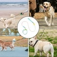 thumbnail image 5 of RKSTN Nylon P Et Leash Pet Leash Gradient Color P Rope Multifunctional Dog Walking Rope Walking Rope Explosion Proof and Dog Rope Pet Supplies Pet Supplies, 5 of 5