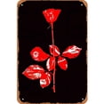 thumbnail image 1 of Hojalata Rectangular 20*30cm Serie Planta Rosa Plana (1), 1 of 9