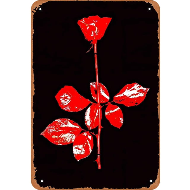 Hojalata Rectangular 20*30cm Serie Planta Rosa Plana (1)