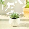 thumbnail image 2 of Succulentes en Pot Simulées avec Pot de Fleurs Mini Différentes Succulentes Artificielles Plante en Pot pour la Maison, 2 of 8