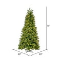 thumbnail image 3 of Vickerman 10' x 63" Brighton Pine Artificial Christmas Tree, Warm White Dura-lit LED Lights, 3 of 5